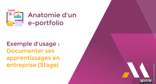 Exemple d'usage : Documenter ses apprentissages en entreprise (Stage).mp4