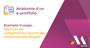 Exemple d'usage : Valoriser ses compétences devant des professionnels (Projet).mp4