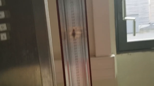 TP_3_Pertes_descriptif