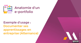 Exemple d'usage : Documenter ses apprentissages en entreprise (Alternance).mp4