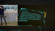 Usage de la réalité virtuelle en formation